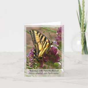Rosa vis man med tigern Swallowtail - infödda Kort