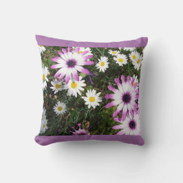 Rosa Vit Daisy Daisy Blommans Blommigt Cushion Kudde