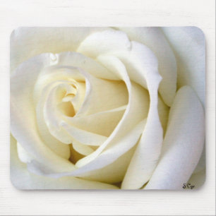 Rosa vit musmatta
