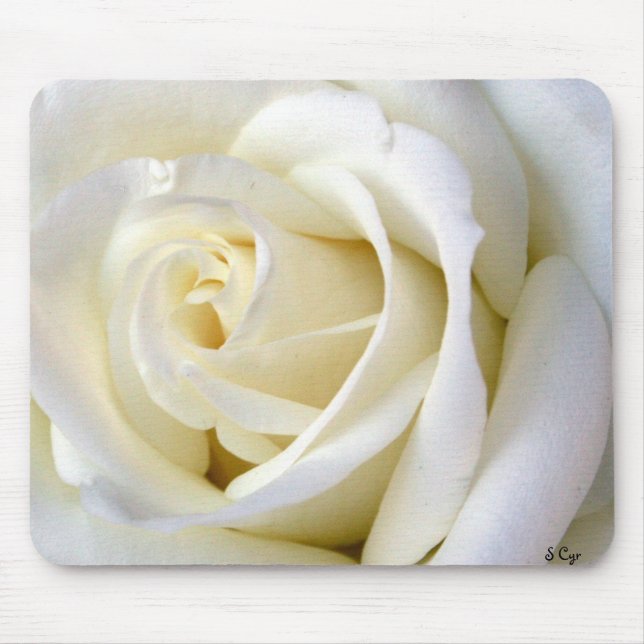 Rosa vit musmatta (Framsidan)