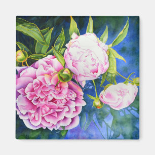 Rosa, vit peonmålning romantisk blommigt magnet