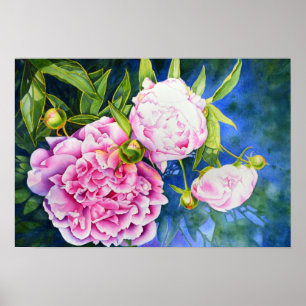 Rosa, vit peonmålning romantisk blommigt poster