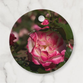 Rosa & Vit Ros Gåvor Etiketter