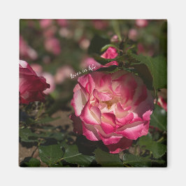 Rosa & Vit Ros Magnet