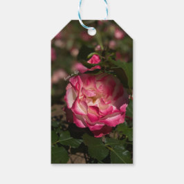 Rosa & Vit Ros  Presentetikett