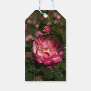 Rosa & Vit Ros  Presentetikett