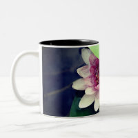 Rosa, vit, Vatten Lilly, Lotus Flower Photo Mugg