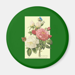 Rosa Vit Vintage Botaniskt Ro Magnet