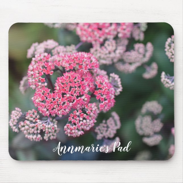 Rosa & Vita Fjärilsstenbräckeblomor Musmatta (Framsidan)