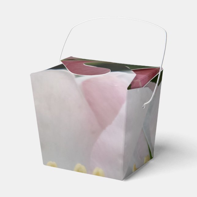 Rosa Vita fotnotsfack för att ta ut Presentaskar (Framsidan Sidan)