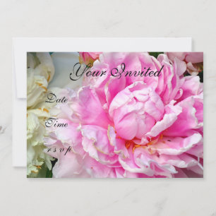 Rosa vita pioner rosa vit blomster inbjudningar