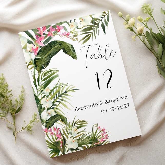 Rosa vita tropiska orkidéblommor Bordsnummer (Pink white tropical orchid flowers Table Numbers)