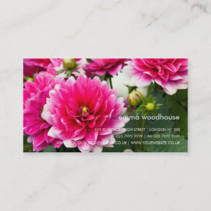 Rosa- & vitDahlia Visitkort