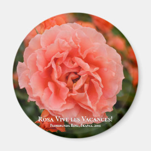Rosa Vive les Vacances! マ グ ネ ッ ト Magnet