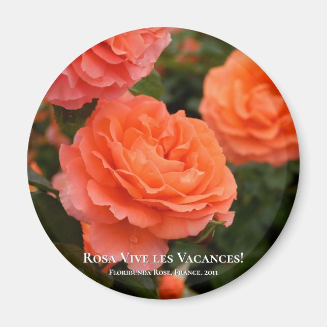 Rosa Vive les Vacances! Magnet (Framsidan)