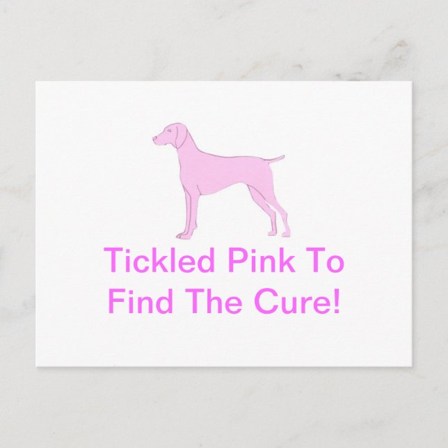 Rosa Vizsla Vykort (Framsida)