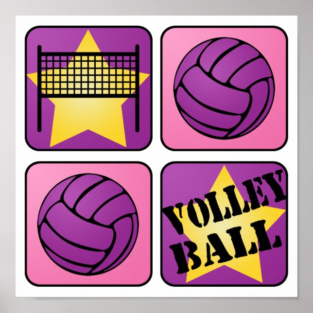 Rosa Volleyball Poster (Framsidan)