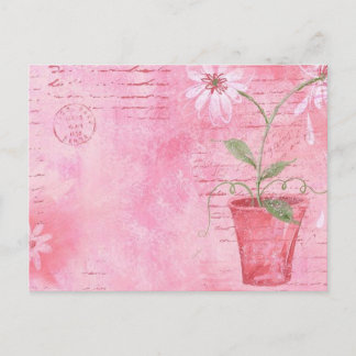 Rosa, vykort för blommor