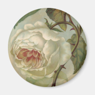 Rosa vykortillustration för Victorian Magnet