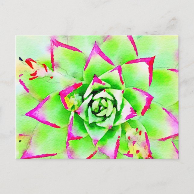 Rosa Watercolor Succult vycard Vykort (Framsida)