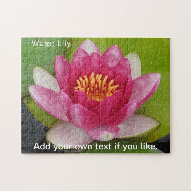 Rosa Waterlily Jigszle Puzzle Pussel (Horisontell)