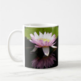 Rosa Waterlily Kaffemugg
