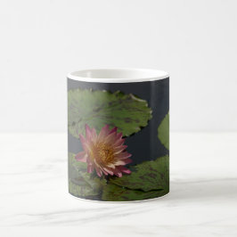 Rosa Waterlily Kaffemugg