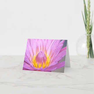 Rosa Waterlily Notecard Kort