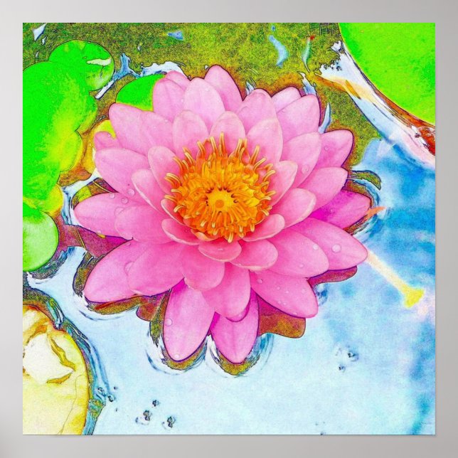 Rosa Waterlily Poster (Framsidan)