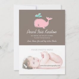 Rosa Whale Photo Meddelements Meddelande