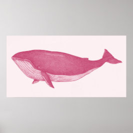 Rosa Whale Poster
