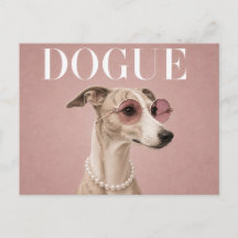 Rosa Whippet Hund Covergirl