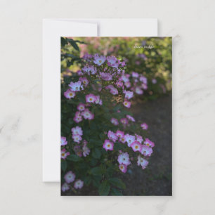 Rosa & White Bush Ro Anteckningskort