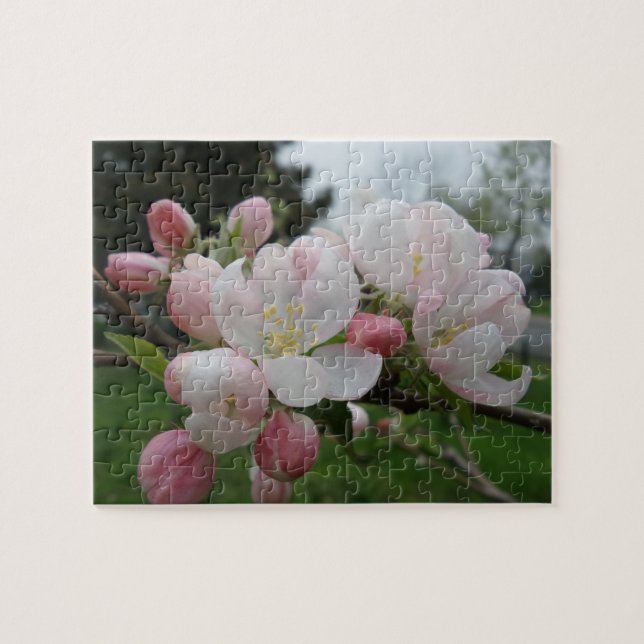Rosa White Flower Jigszle Puzzle Pussel (Horisontell)