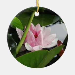 Rosa White Lotus Blomsterfotografi Julgransprydnad Keramik