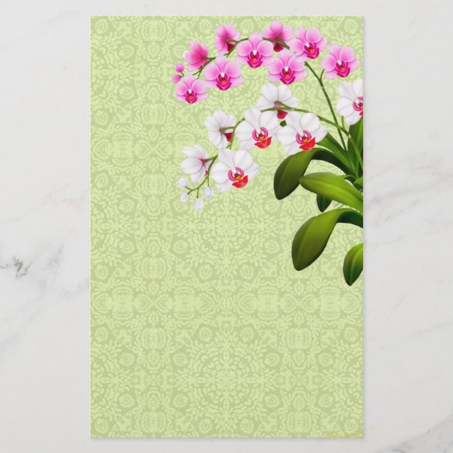 Rosa White Phalaenopsis Orchid Flowers Stationery Brevpapper (Framsida)