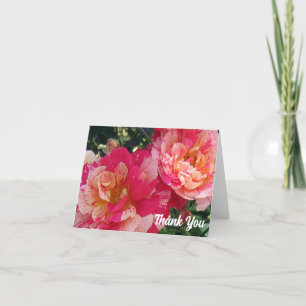 Rosa White Stripe Ro Tackkort Card Kort