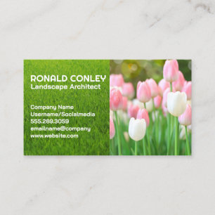 Rosa White Tulip Flowers Landskap Visitkort