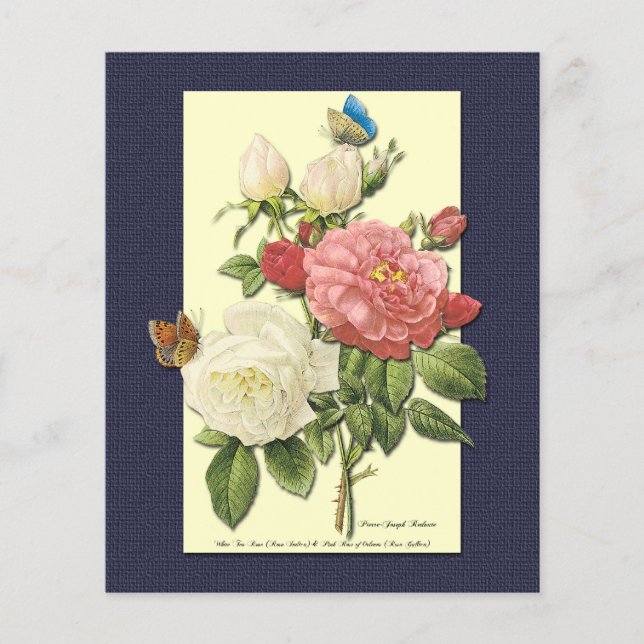 Rosa White Vintage Botaniskt Ro Flyer-mall Flygblad (Framsidan)