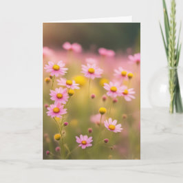 Rosa Wildblomma Daisy Fält för sympati Kort