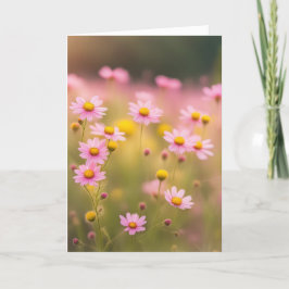 Rosa Wildblomma Daisy Fält för sympati Kort