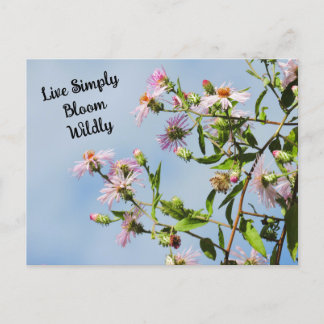Rosa Wildblomma på Blue Quote Vykort