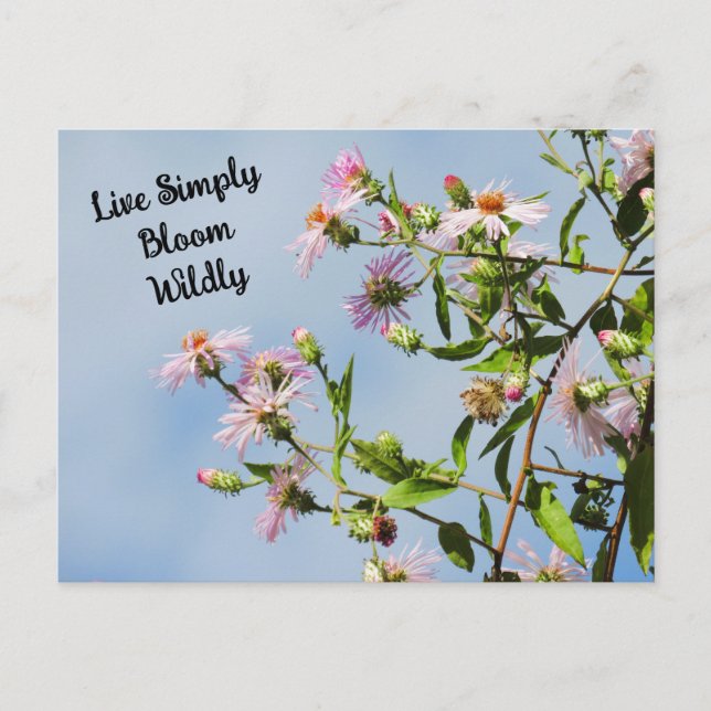 Rosa Wildblomma på Blue Quote Vykort (Framsida)