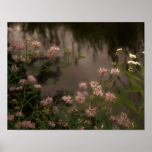 Rosa Wildblommor by Stream Photo Art Poster