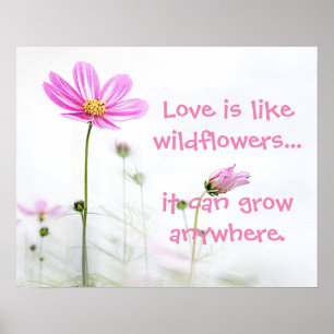 Rosa Wildblommor Poster