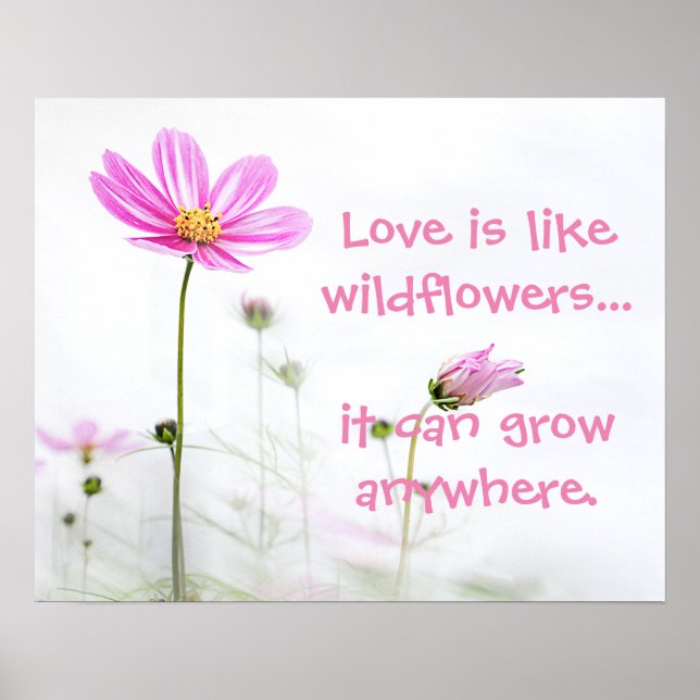 Rosa Wildblommor Poster (Framsidan)