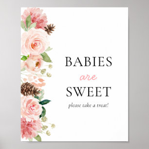 Rosa Winter Baby Shower Spädbarn är Sweet Poster