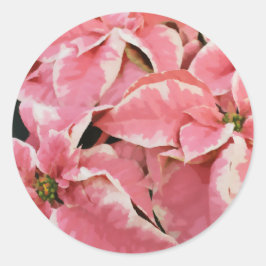 Rosa Winter Maple Poinsettia Flower Painting (färg Runt Klistermärke