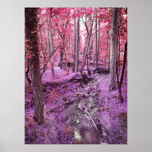 Rosa Wonderland Poster (Framsidan)