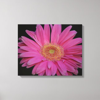 Rosa Wrapped Canvas